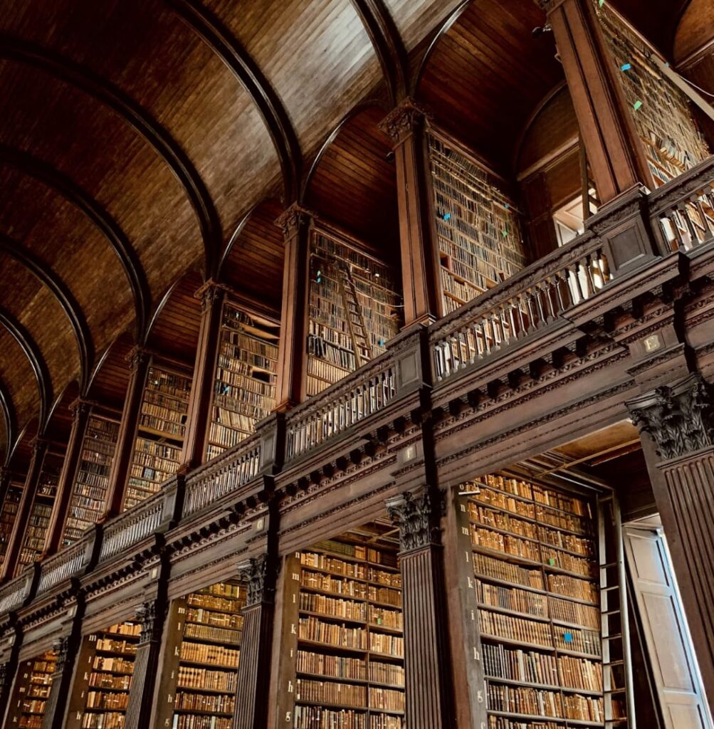 whatsapp image 2025 11 06 at 13.59.35